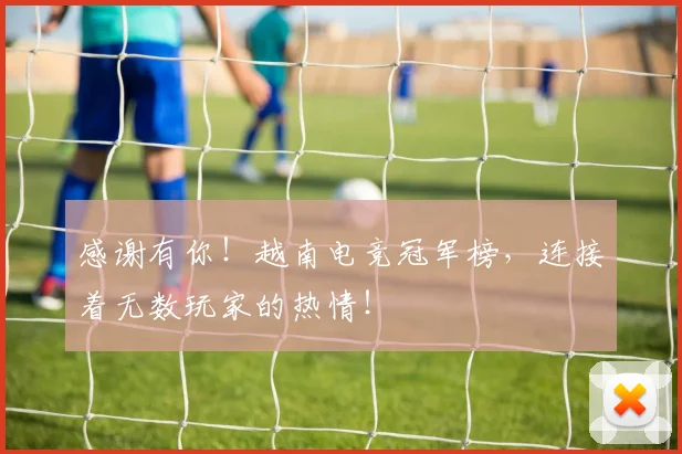 感谢有你！越南电竞冠军榜，连接着无数玩家的热情！